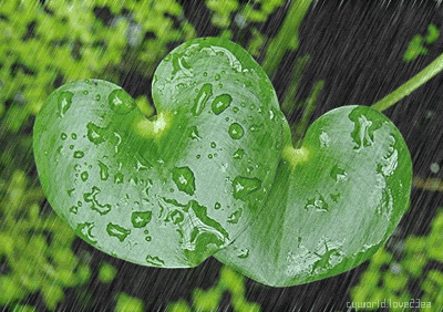【潇湘文学社】潇湘如兰诗社《雨水》(总272期)(图16)