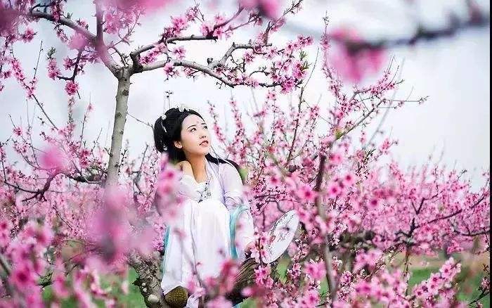 【新诗大观】待到春风吹起，我在花下等你||文/惊鸿照影||诵/冯楚焱（图5）