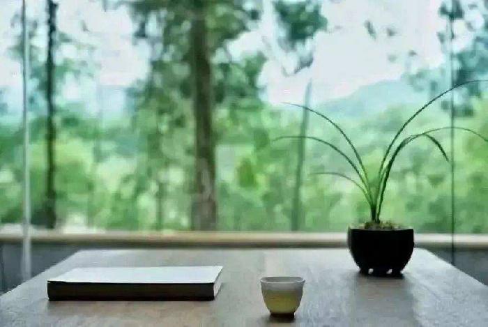一“跌”知“秋”文:李传根(南京)【冰心文化传媒】(图3)