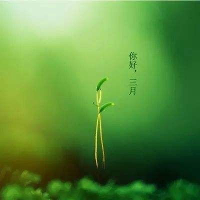 【枫雅汇看图约诗】诗人陈江《122期》（三月）（图5）