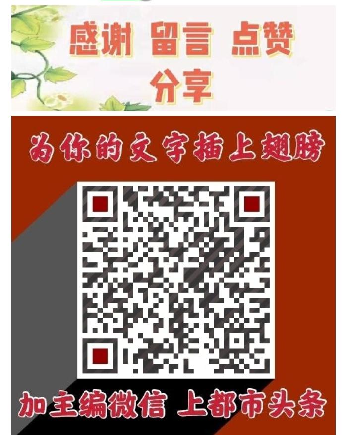 《论语悟道》系列连载 作者：康金印 诵读：牧歌 月亮泉 音频制作：平凡（图14）