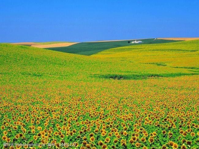 江南诗絮-0503【古韵风采】(图20)