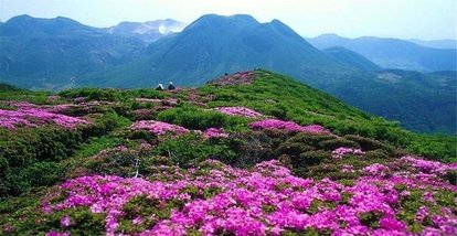 【著名诗人潘文银老师的优美组诗欣赏】中华诗艺九江格律诗社隆重推送！（图6）