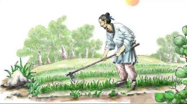 【枫雅汇看图约诗】第225期《一犁翻起春耕雨》(图8)