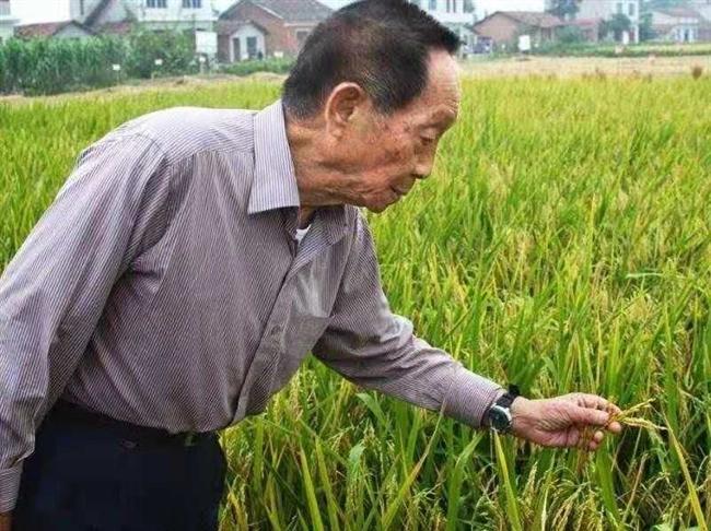 【著名诗人潘文银老师的优美组诗欣赏】中华诗艺九江格律诗社隆重推送！（图25）