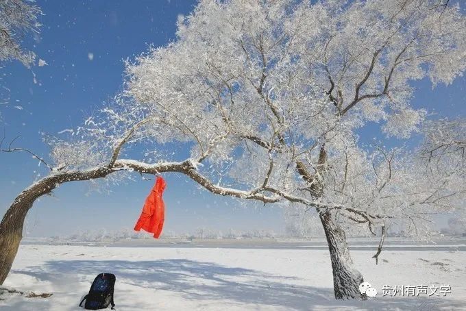 【春晓组稿.诵读】 冬天里的春天(诗人组稿:羽一、彭春晓、我在)(图4)