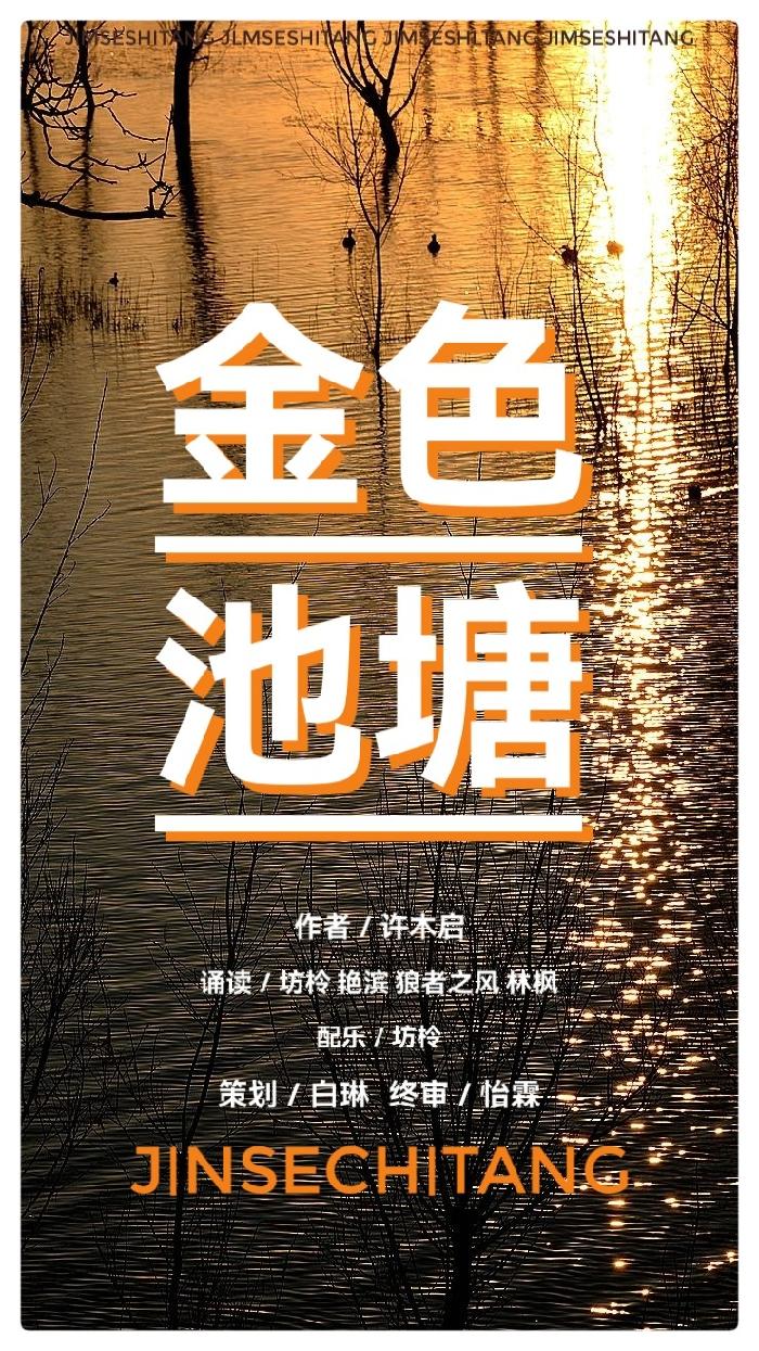 金色池塘 金色梦想ll作者 许木启ll诵读 坊柃 艳滨 狼者之风 林枫(图2)