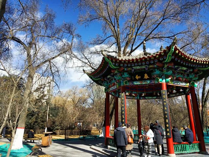 【纪实散文】西宁市人民公园,镶嵌在市中心的一颗璀璨明珠:文/颜宝祥(青海西宁)(图4)