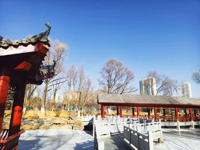 【纪实散文】西宁市人民公园,镶嵌在市中心的一颗璀璨明珠:文/颜宝祥(青海西宁)(图9)