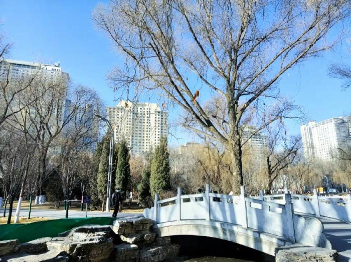 【纪实散文】西宁市人民公园,镶嵌在市中心的一颗璀璨明珠:文/颜宝祥(青海西宁)(图14)