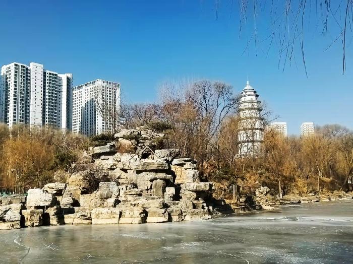 【纪实散文】西宁市人民公园,镶嵌在市中心的一颗璀璨明珠:文/颜宝祥(青海西宁)(图13)