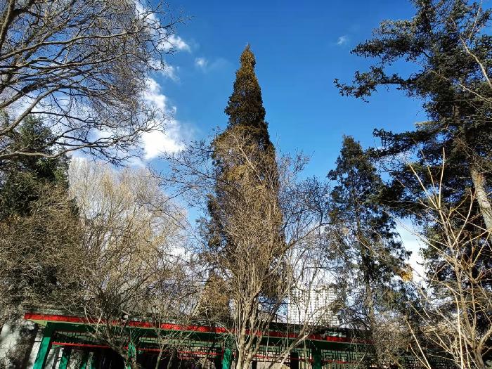 【纪实散文】西宁市人民公园,镶嵌在市中心的一颗璀璨明珠:文/颜宝祥(青海西宁)(图17)