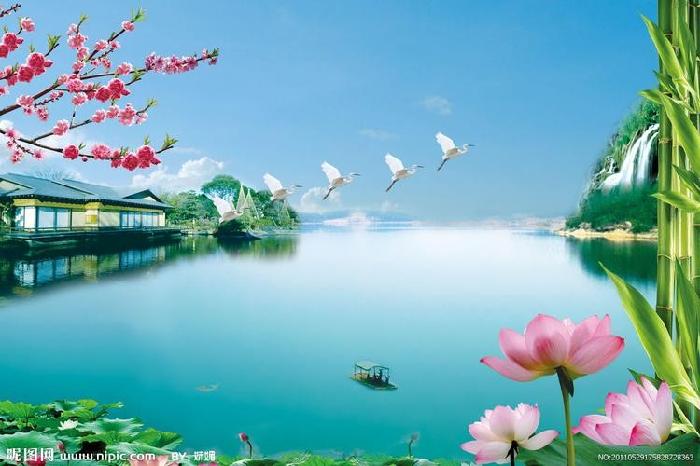 【经典】昨夜天//今夜 月明如霜几许冬寒（图6）