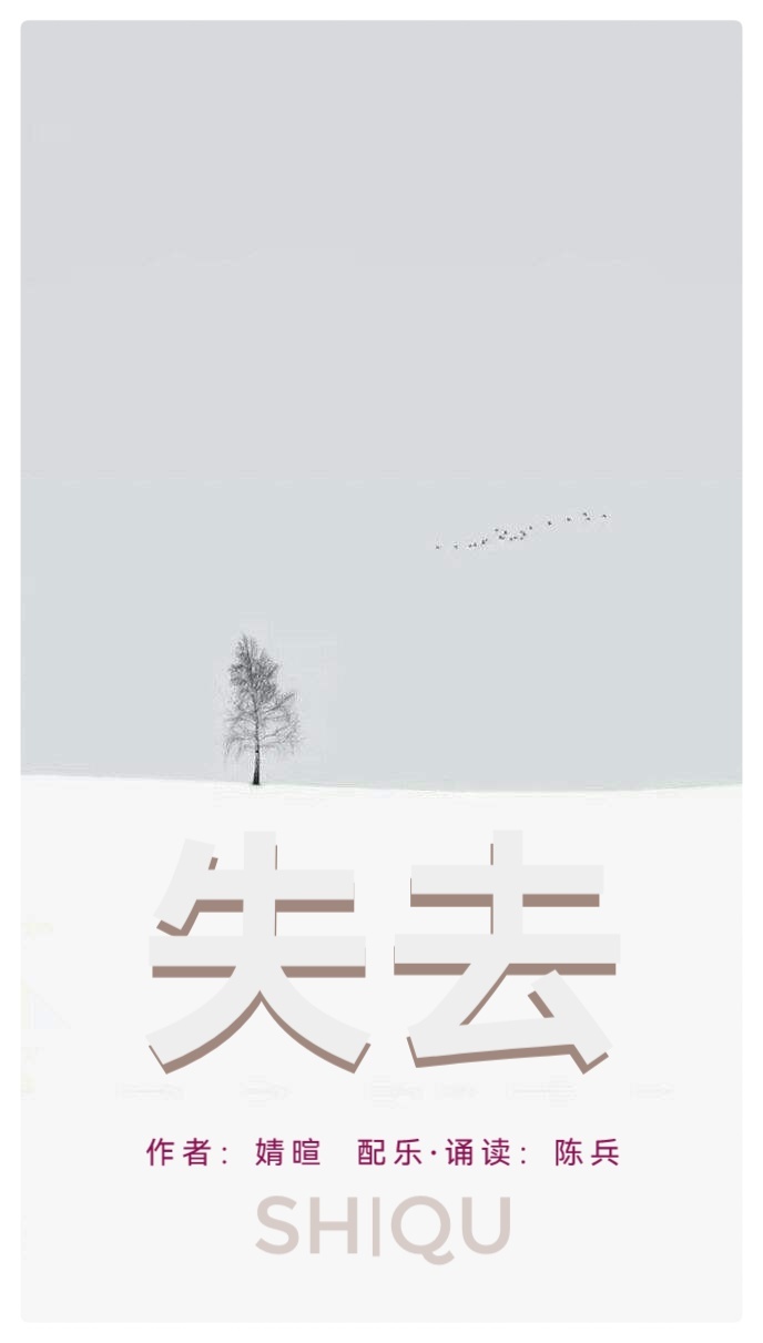 婧暄诗歌ll失去ll诵读 陈兵(图2)