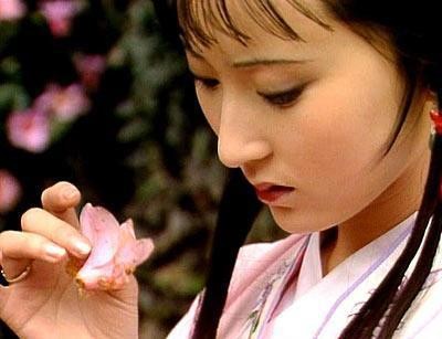 《红楼梦》系列之六十五（第91至100回）18首《平水韵》《中华新韵》作者 孙春红【冰心文化传媒】（图8）