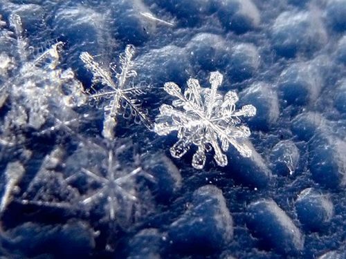 【新山东文学社】《永恒的燕山雪花》作者/锦河 主播/竹林听雨（图3）