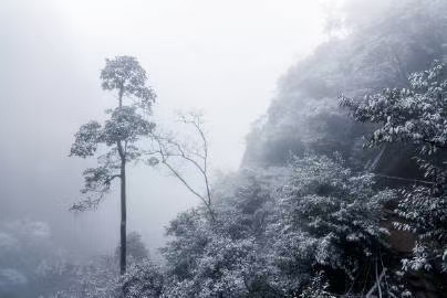 《评-麦进通诗词》尘缘(图6)