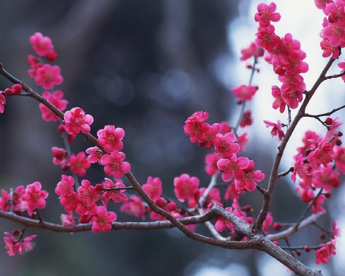 【都市头条向幸福出发编辑部】第214期 硕果 主播 绿色空间