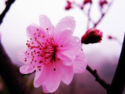 【都市头条向幸福出发编辑部】第214期 硕果 主播 绿色空间(图7)