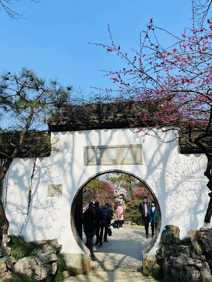 【英国文学】精品随笔《梅园》作者|雨巷-蓝调(中国)、荐稿|邓瑛(德国)(图3)