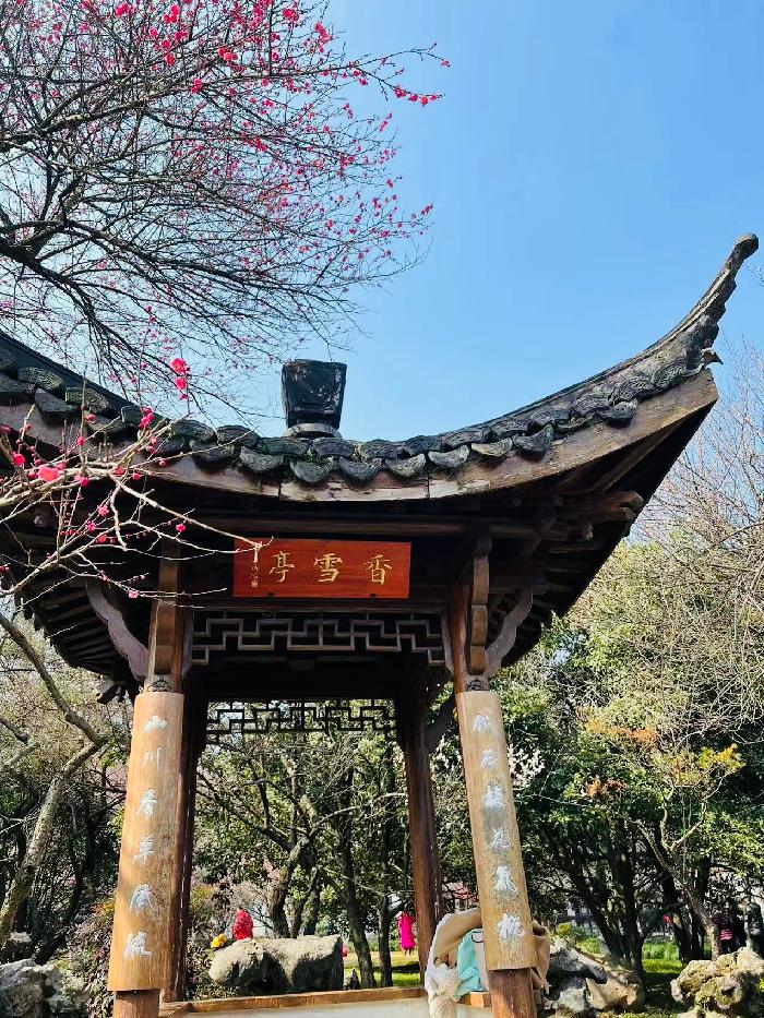 【英国文学】精品随笔《梅园》作者|雨巷-蓝调(中国)、荐稿|邓瑛(德国)(图5)