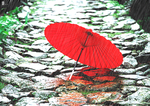 《昨夜春风昨夜雨柔》作者/文雅儒夫 主播/馨园小主 编辑/胡琴（图4）
