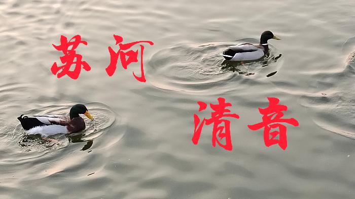 ［苏河清音］吕艺高:《吕艺高诗文专辑》诵读:岳青林 上海头条［第19期］（图13）
