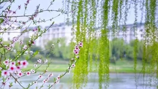 【北京头条★江南诗社】隆重推介特约诗人任四维老师作品《春雨感怀》组诗(图7)