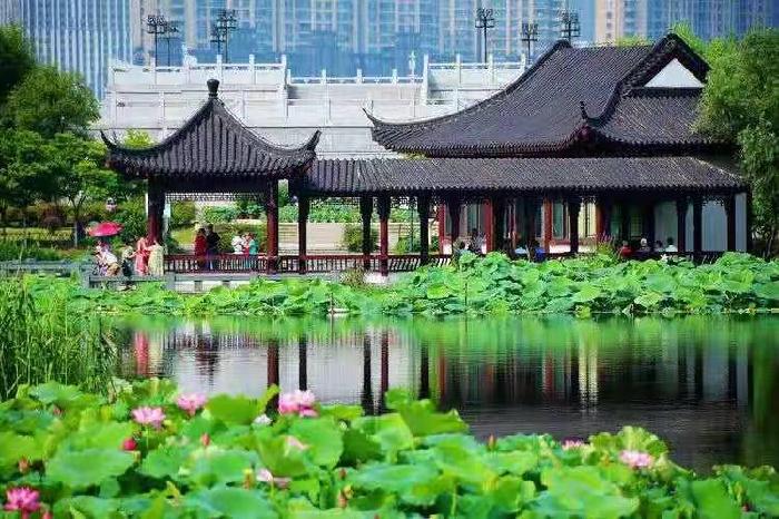 ［苏河清音］吕艺高:《吕艺高诗文专辑》诵读:岳青林 上海头条［第19期］（图9）