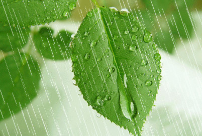 【潇湘文学社】潇湘陶菊诗社《春雨》(总274期)(图8)