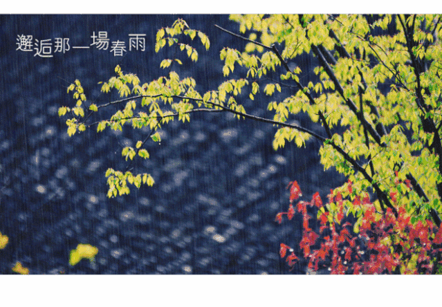 【潇湘文学社】潇湘陶菊诗社《春雨》(总274期)(图6)