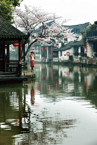 【北京头条★江南诗社】隆重推介特约诗人任四维老师作品《春雨感怀》组诗(图11)