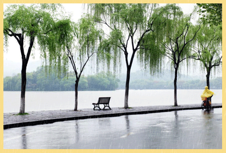 【潇湘文学社】潇湘陶菊诗社《春雨》(总274期)(图26)