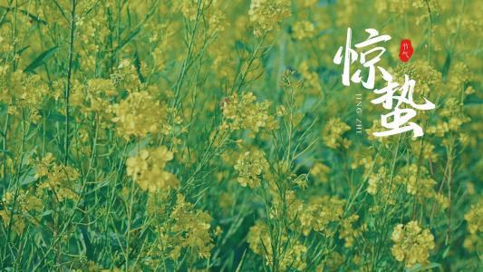 中华诗艺九江格律诗词鉴赏(组诗)第1394期(图17)