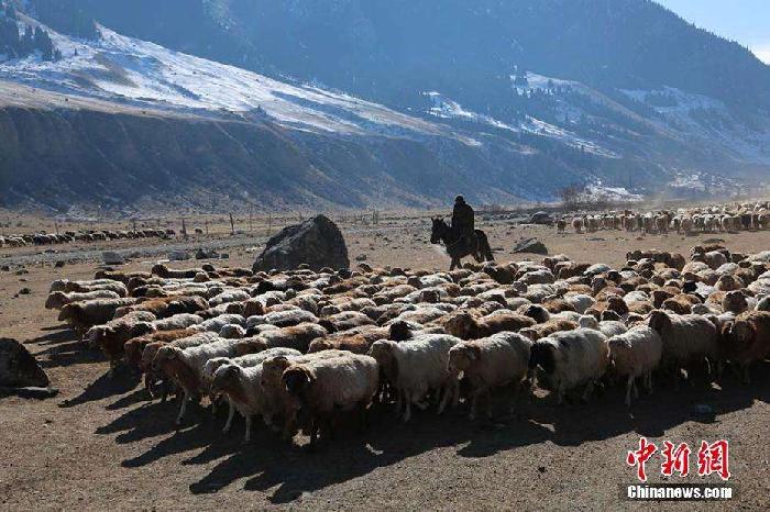 【中国文苑】大型同题'百业图'第25 集' 牧民 '专辑(图3)