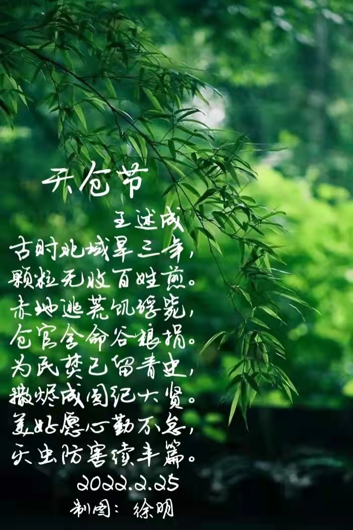 【九江文学社:北京头条】王述成先生佳作欣赏(图3)