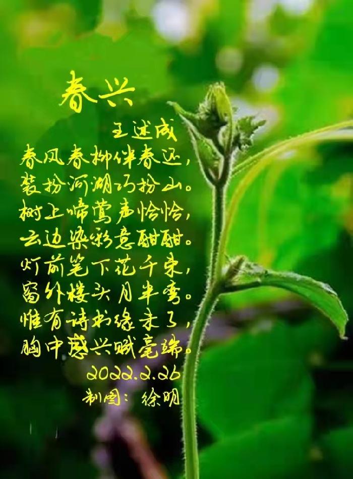 【九江文学社:北京头条】王述成先生佳作欣赏(图4)