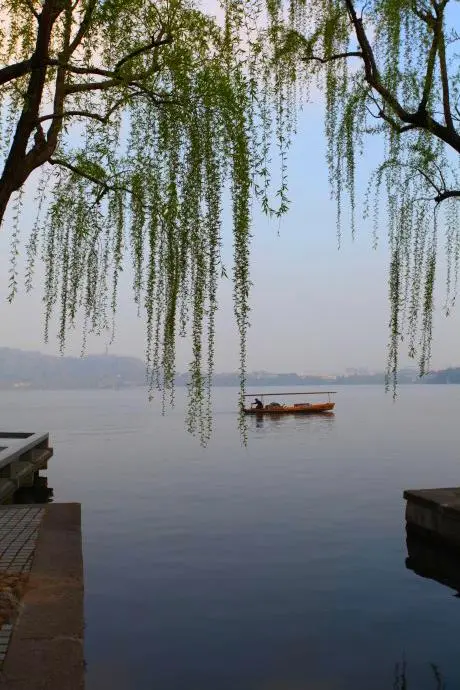柳Ⅱ文/赵京江，图/网络（图4）