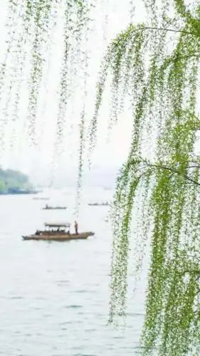 柳Ⅱ文/赵京江，图/网络（图3）