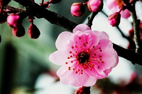 【都市头条向幸福出发编辑部】第217期 懂 主播 张春荣