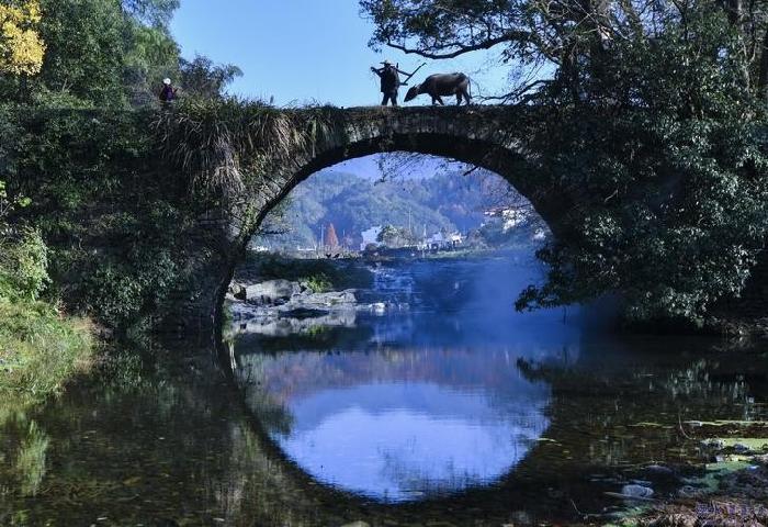 【春韵 栁绿 桃枝花】昨夜天//春天的小石桥（图2）