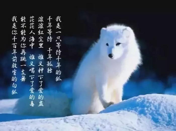 【当代文艺】放情聊斋三百首•系列二《组诗十五首》作者：吴仰生（图4）