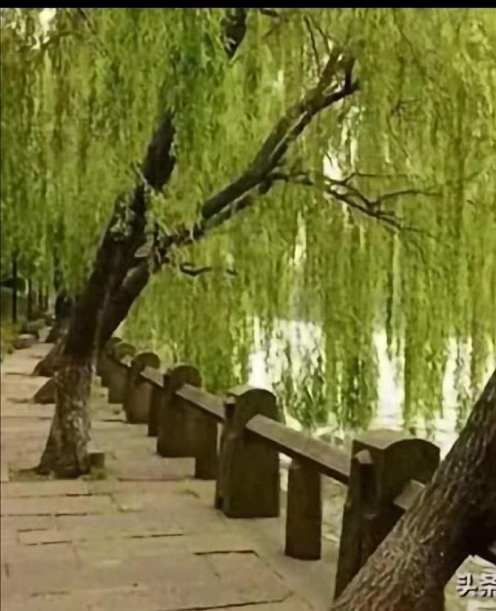 〔七绝四首〕作者 陇上(陇南)【冰心文化传媒】(图15)