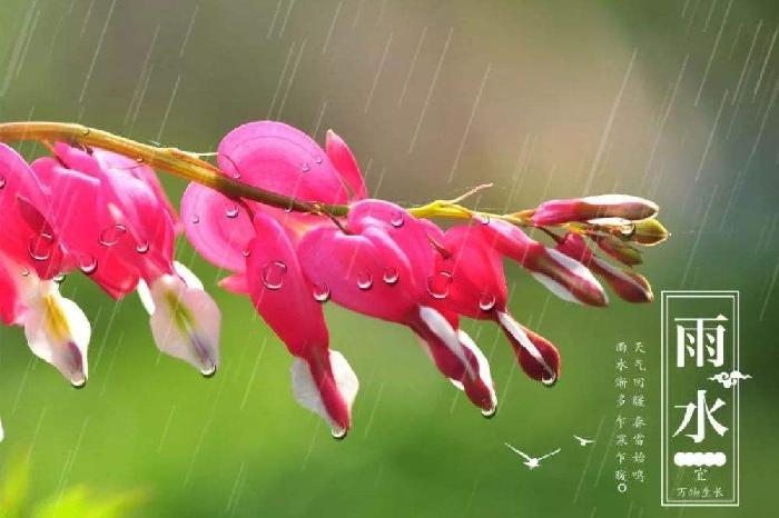 【神都诗社】第02期《雨水》（图22）