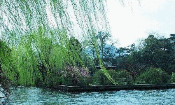 【神都诗社】第02期《雨水》（图27）