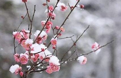 海外華英(014期)有约-孟朝岗老师专辑(图5)