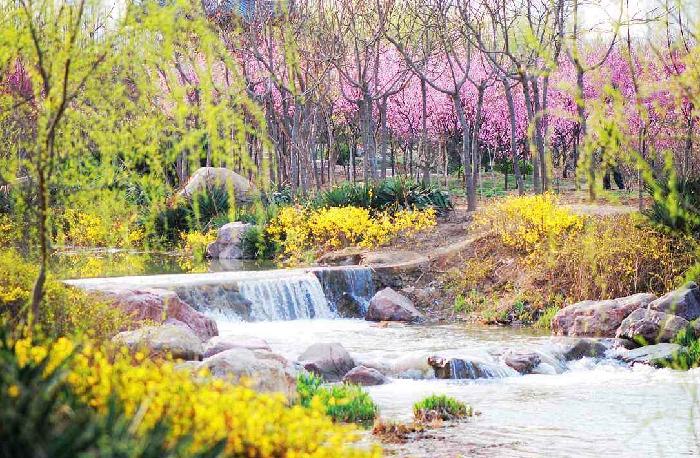海外華英(014期)有约-孟朝岗老师专辑(图2)