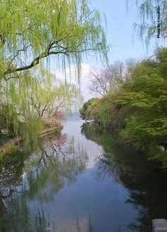 联机全球发布计英臣精品诗歌（图3）