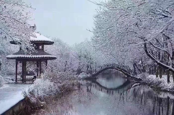 都市头条 长春头条—踏雪赏梅 作者/懒猫 主播/陈丽娟(图8)