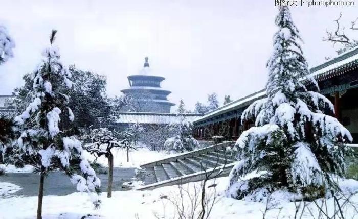 都市头条 长春头条—踏雪赏梅 作者/懒猫 主播/陈丽娟(图4)